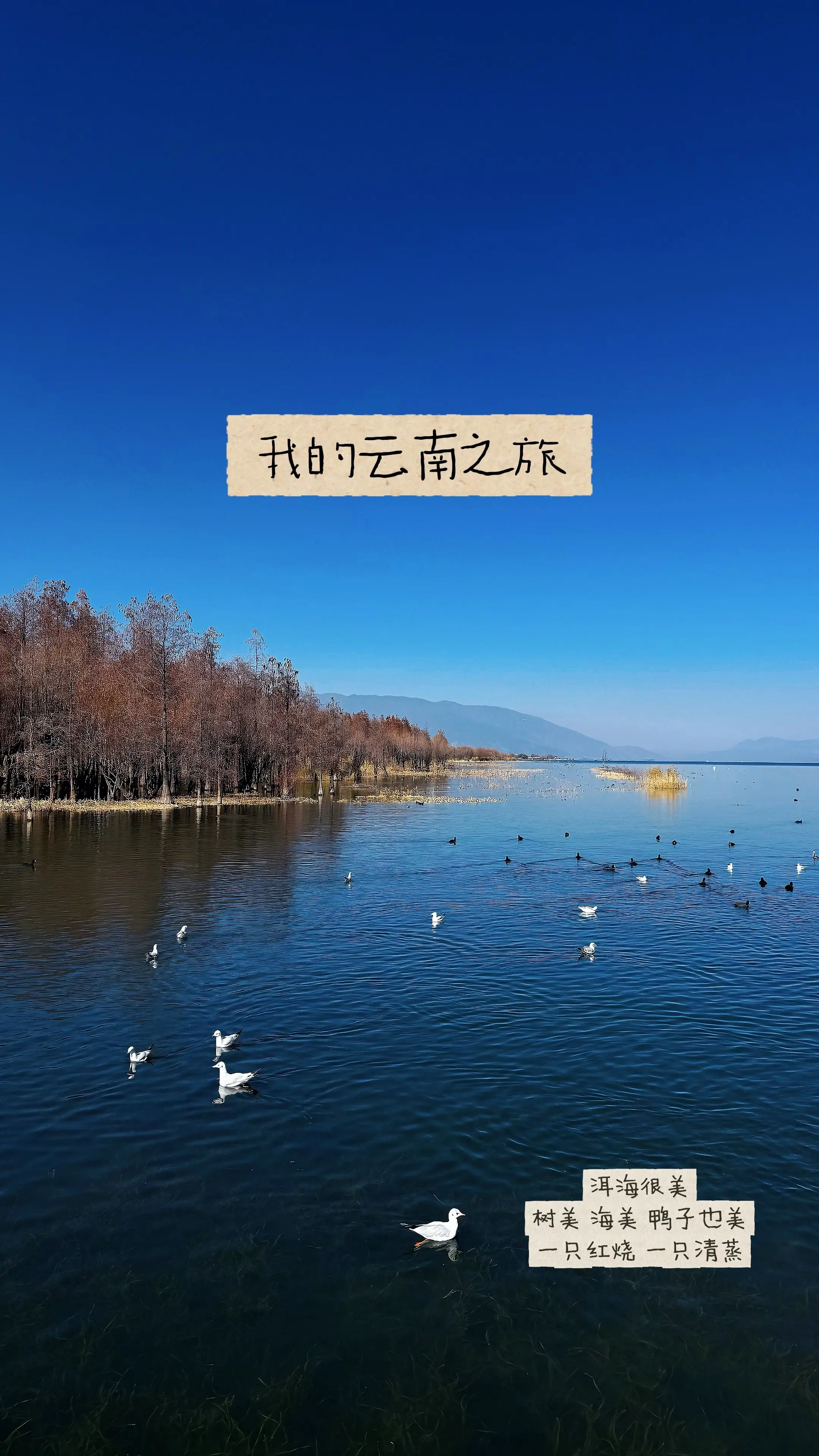 等风来 不如追风去