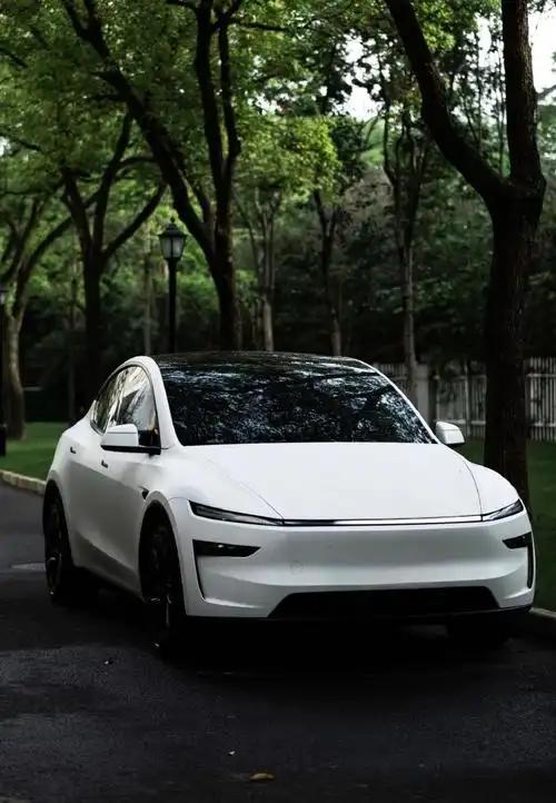 2026 年 9 月全品类乘用车销量榜出炉，特斯拉 Model Y 不仅重回全国