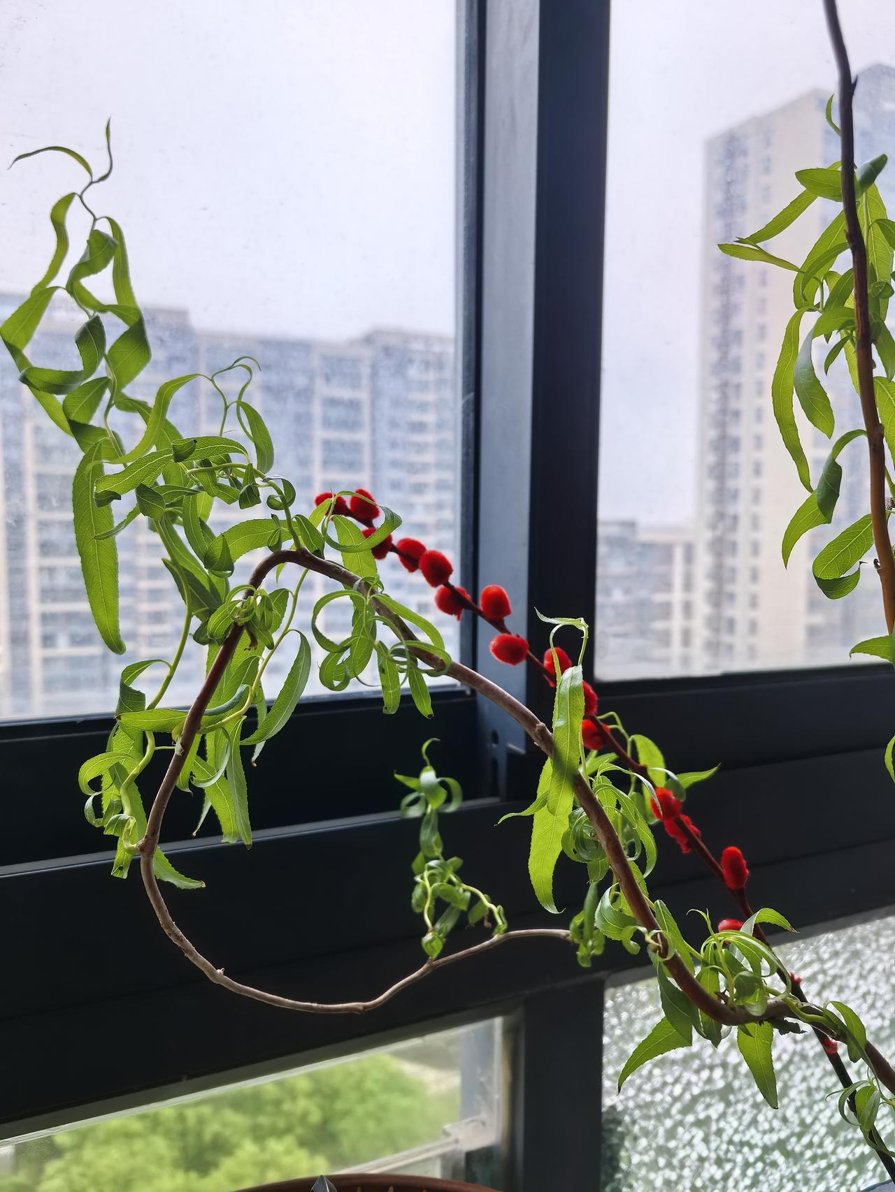 人爱与情的时空   

二十岁三十岁四十岁
爱与情的时空

二十岁者随心
三十岁