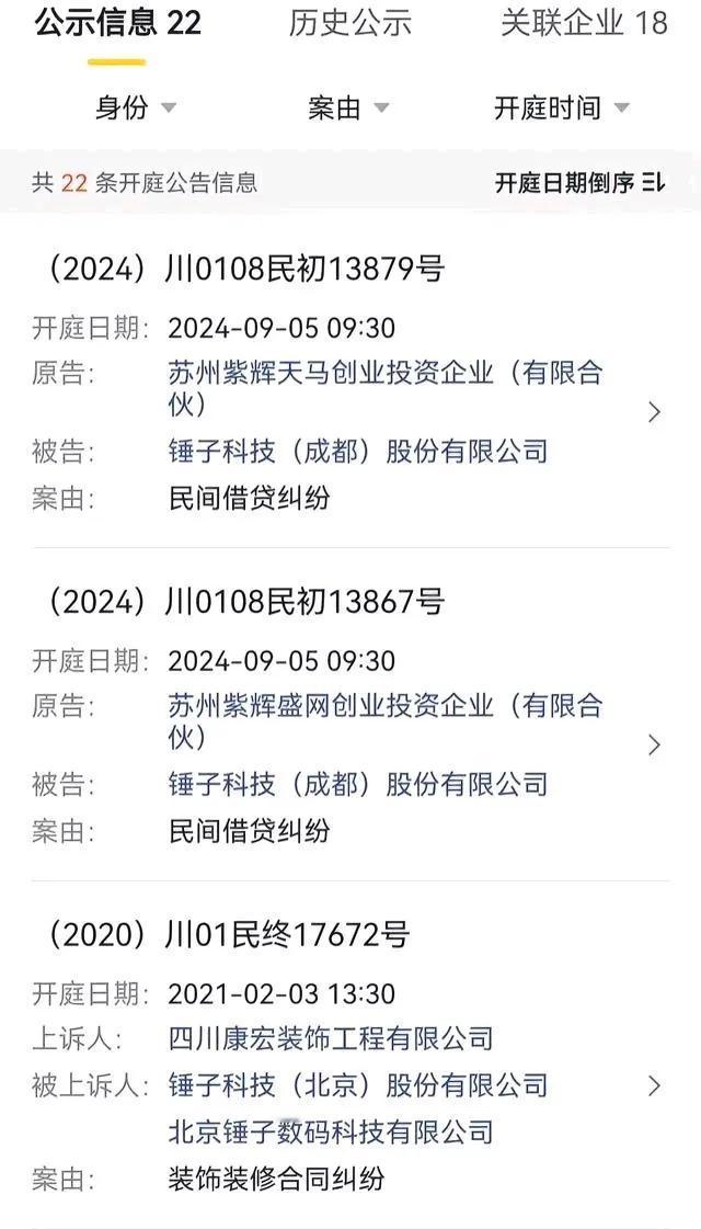 郑刚起诉锤子科技及罗永浩8.1日立的案，9.5日开庭，但为何会两个借款纠纷案同时