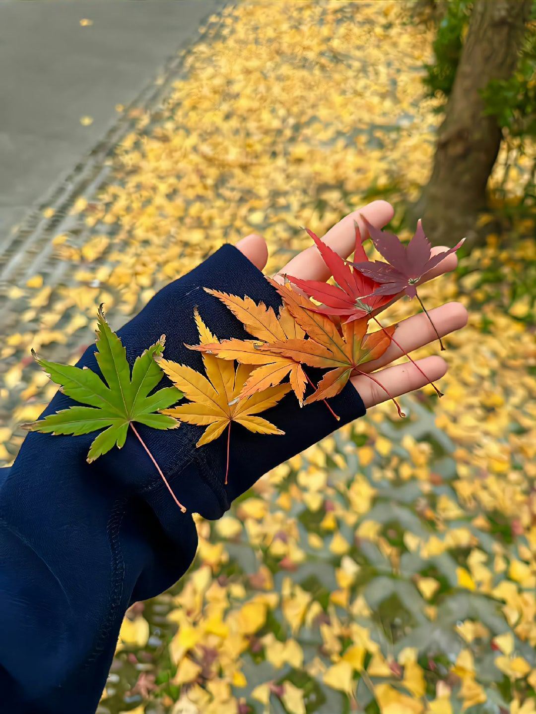 这一年又要结束了,好像唯一没有改变的,就是穷的比较稳定！