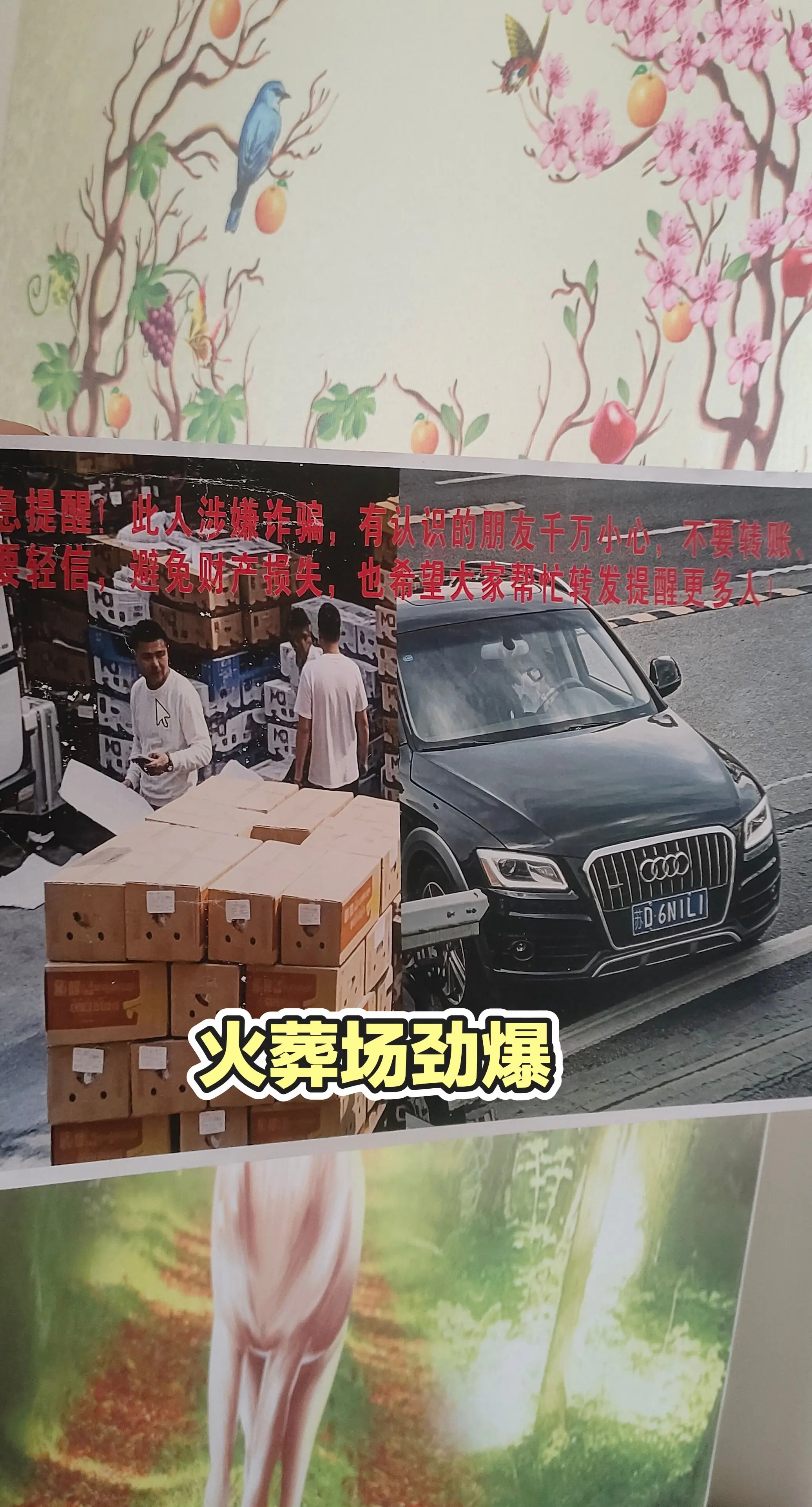 每日分享