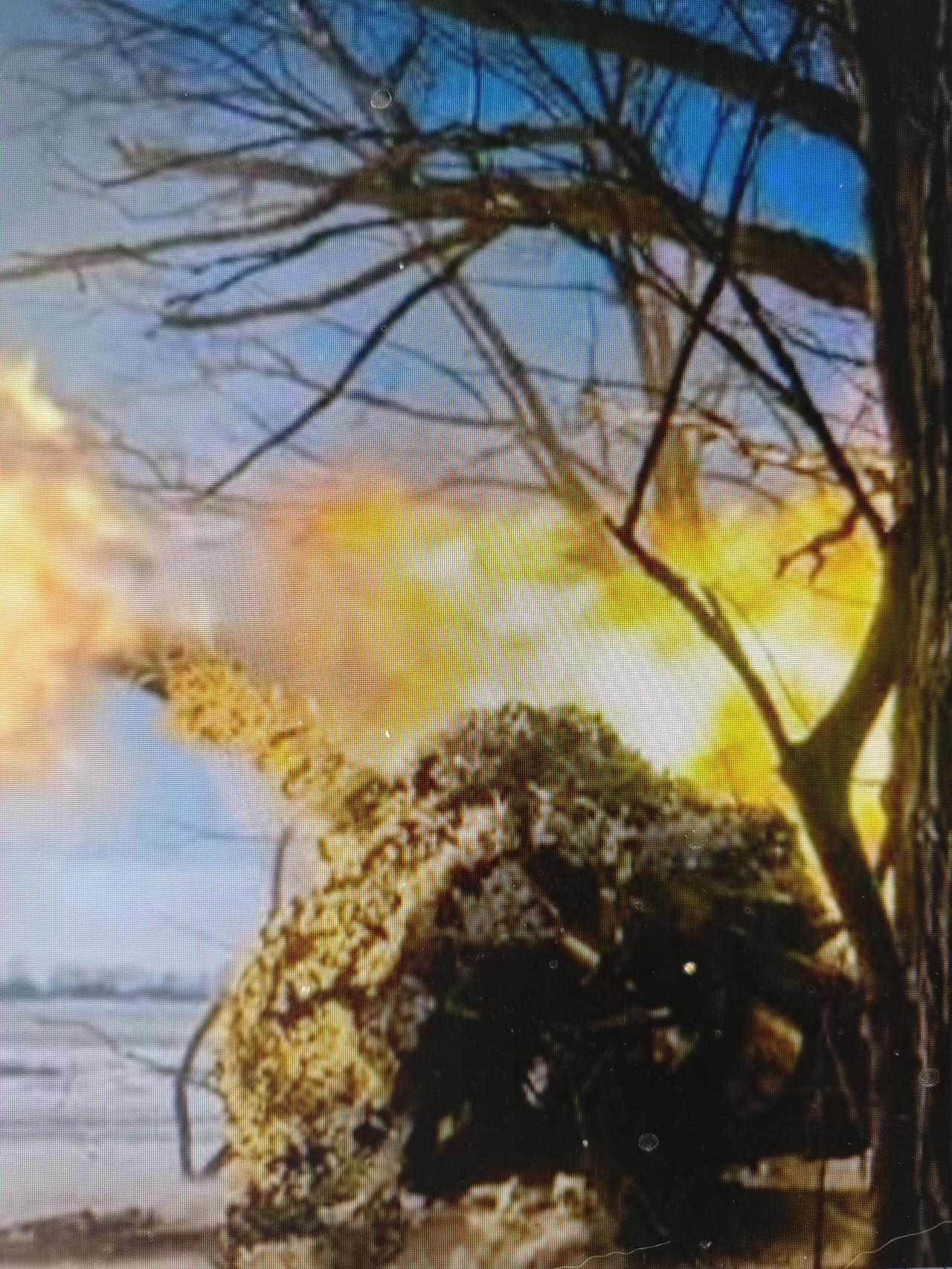 俄乌和平太坎坷

从2022年2月24日，俄罗斯对乌克兰发动“特别军事行动”至今