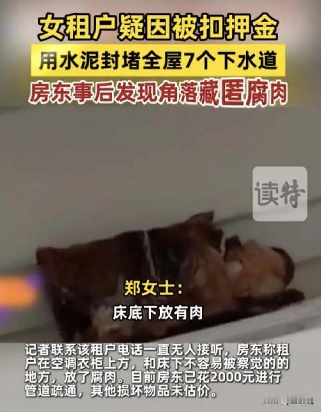 河南郑州，一对夫妻把房子租给一名女孩，房子到期退租后，夫妻俩要求女孩打扫房间，被