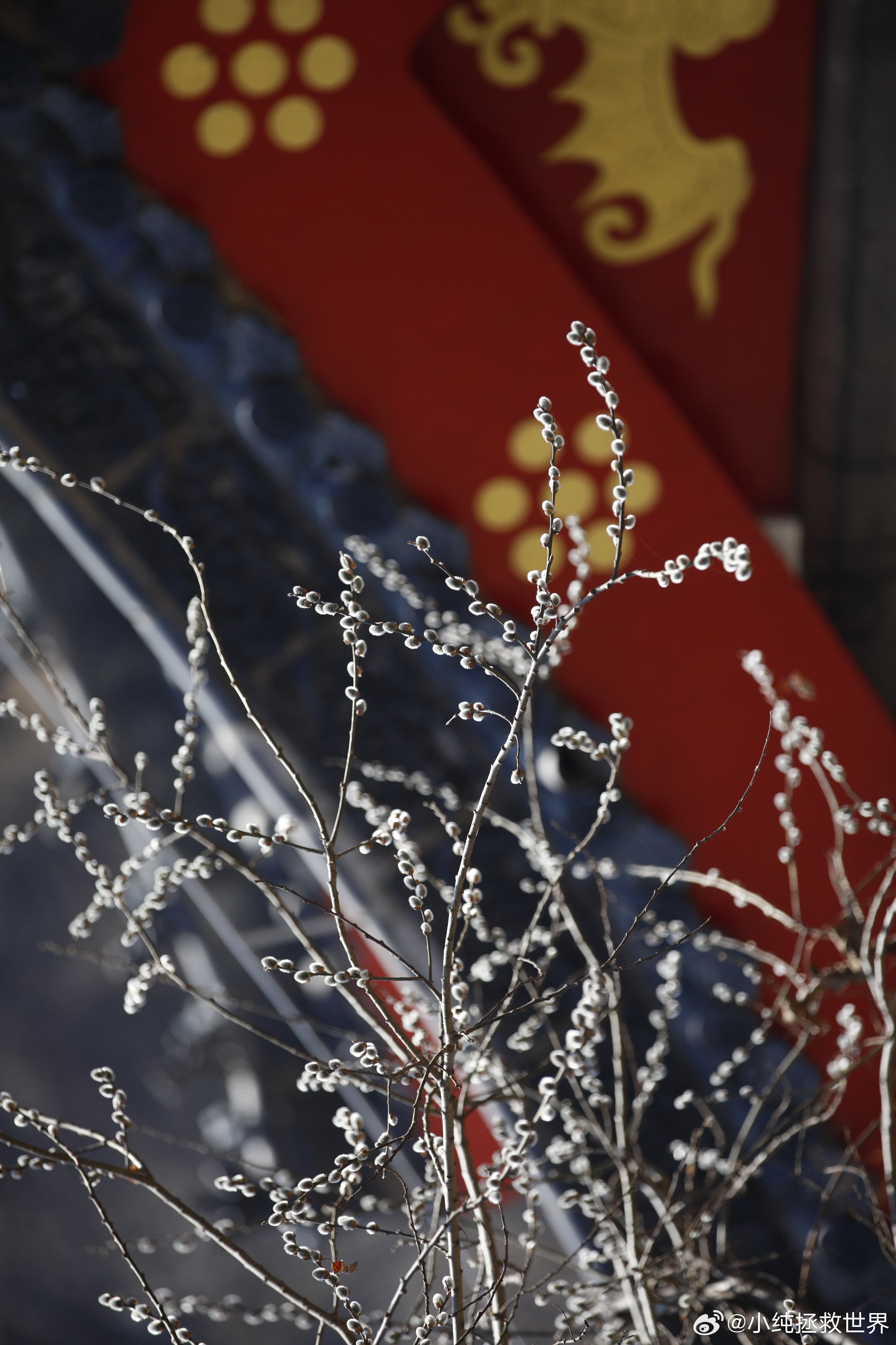 不想让清明小长假留下遗憾，就来铁刹山完美收尾。今天是假期最后一天，吉日配美景，福