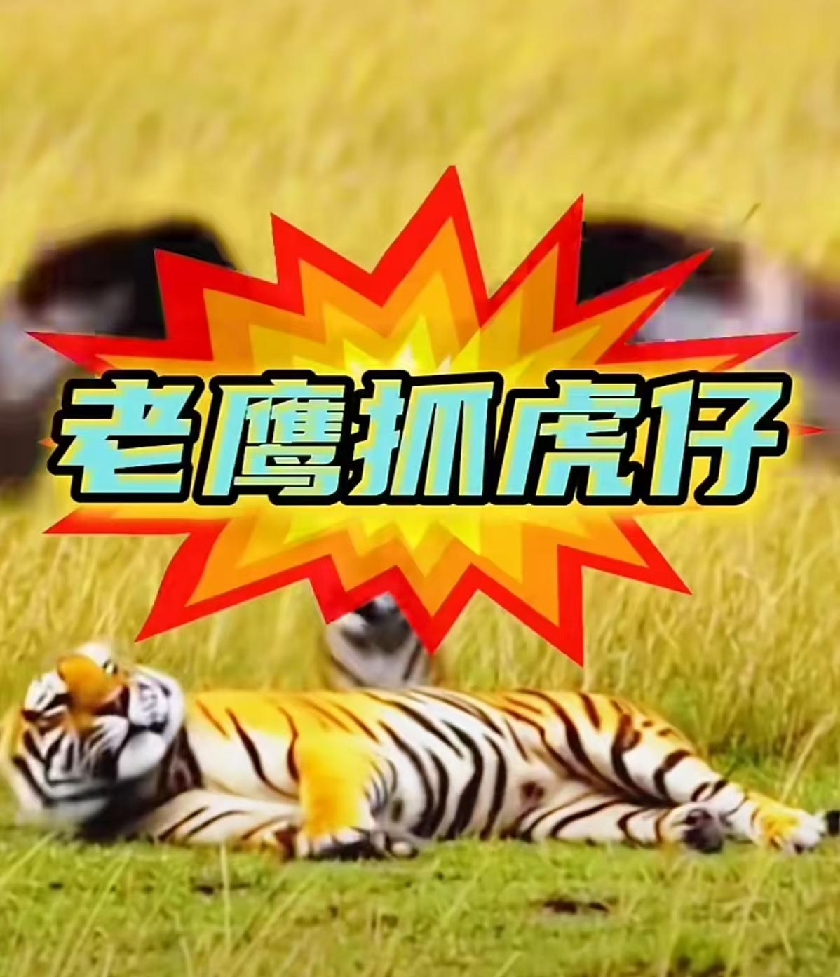 1成交量前50名
2量比前50名
3换手率前50名
这三个指标中，任意一个都可以