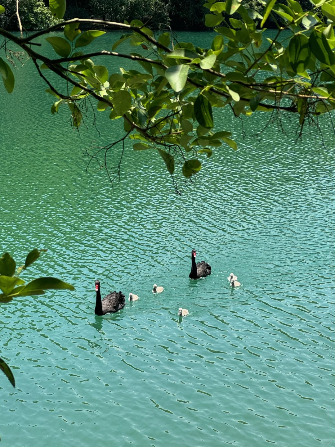 交出你们准备二刷的旅游目的地🎈