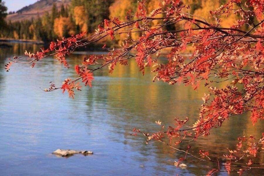 甜蜜河流……