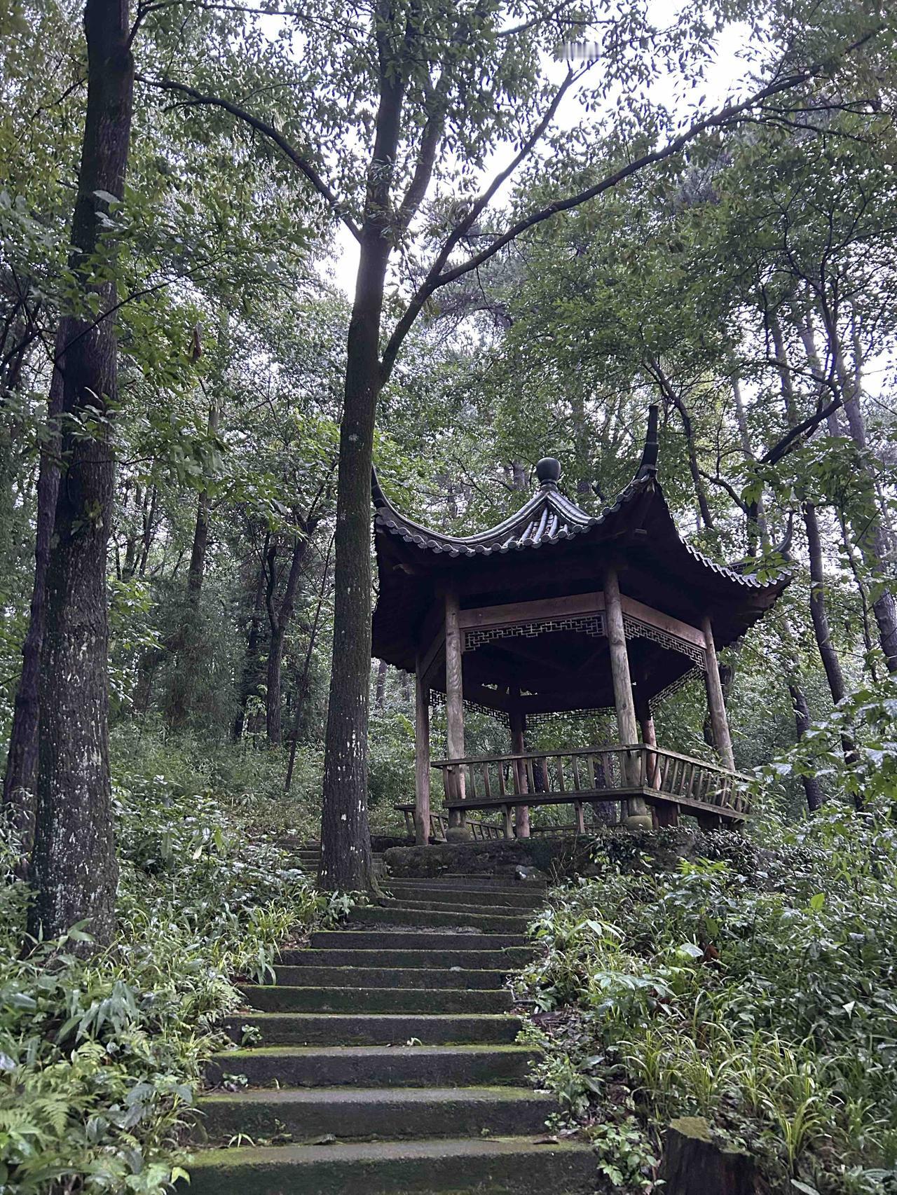 风过山野心静安然，万事只求舒心自在