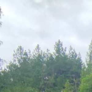 人生没有白走的路，你迈出的每一步都算数，哪怕此刻看不到结果！ 