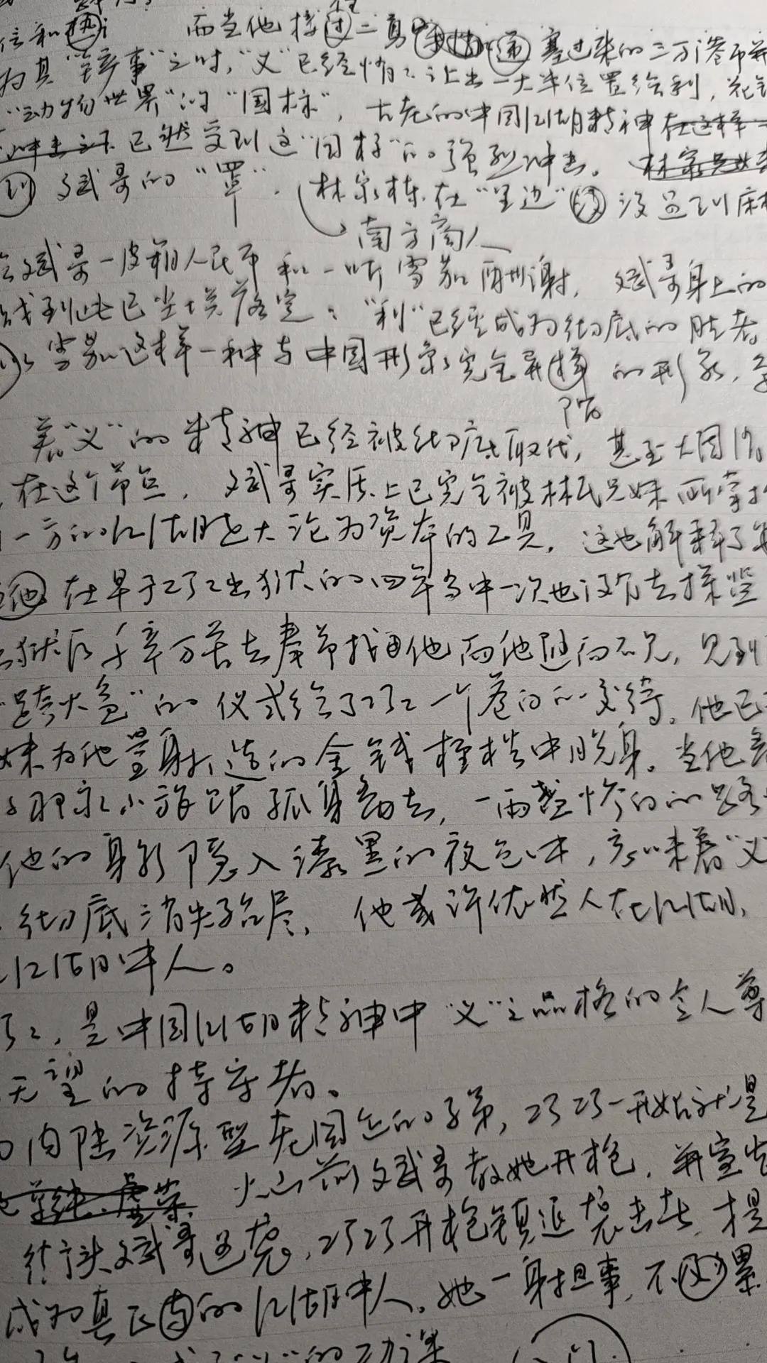 我的硬笔手稿，内容是一篇有关贾樟柯电影的影评。中国能写字的人太多。我这两笔字远远