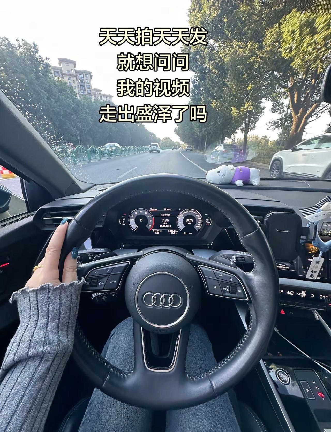 视频走出盛泽了吗😂😂😂女生的方向盘 奥迪驾驶第一视角 @DOU+小助手