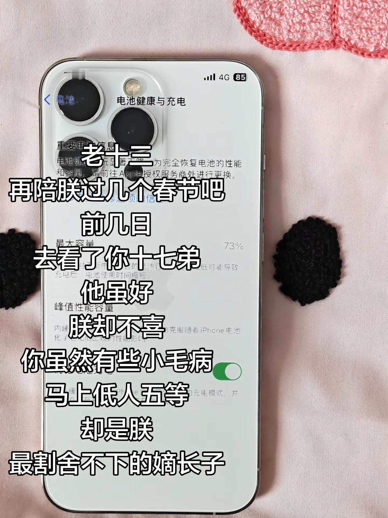我的电池你坚持住啊啊啊啊啊啊啊啊啊啊苹果13 苹果系列