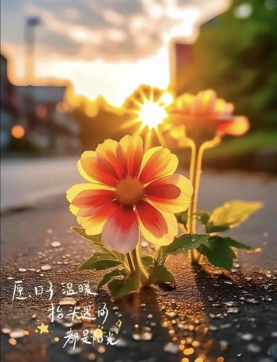 一位生物学家说：“性命性命，一个人能活多久，是由性决定的。比方说，如果你到了60