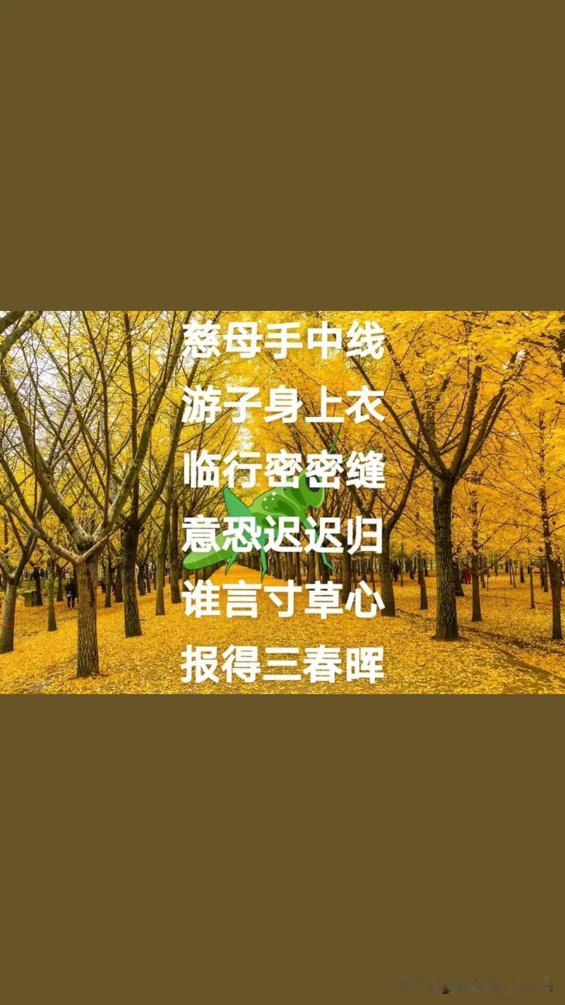 人生感悟（107）：为啥母亲一生都在担心我们？

孟郊在《游子吟》中写过一句名言