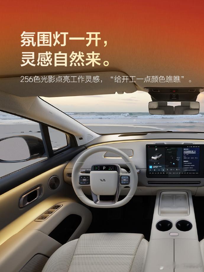 在这个唯参数论、唯马力论的汽车红海里，大多数人都在买“交通工具”，却鲜有人在买“