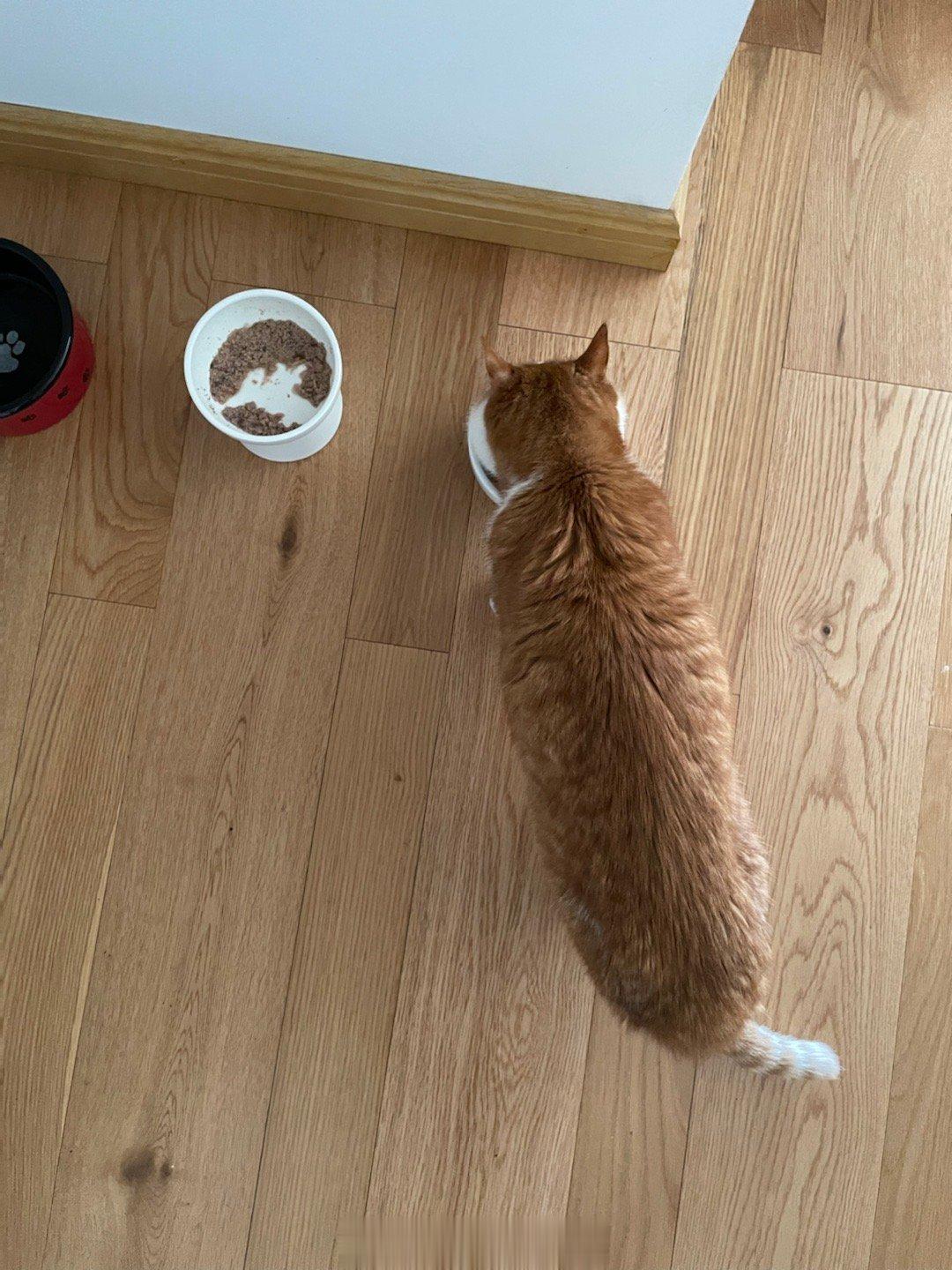  有时候想吃这一碗，有时候想吃那一碗，独子就是这么随性！ ​​​