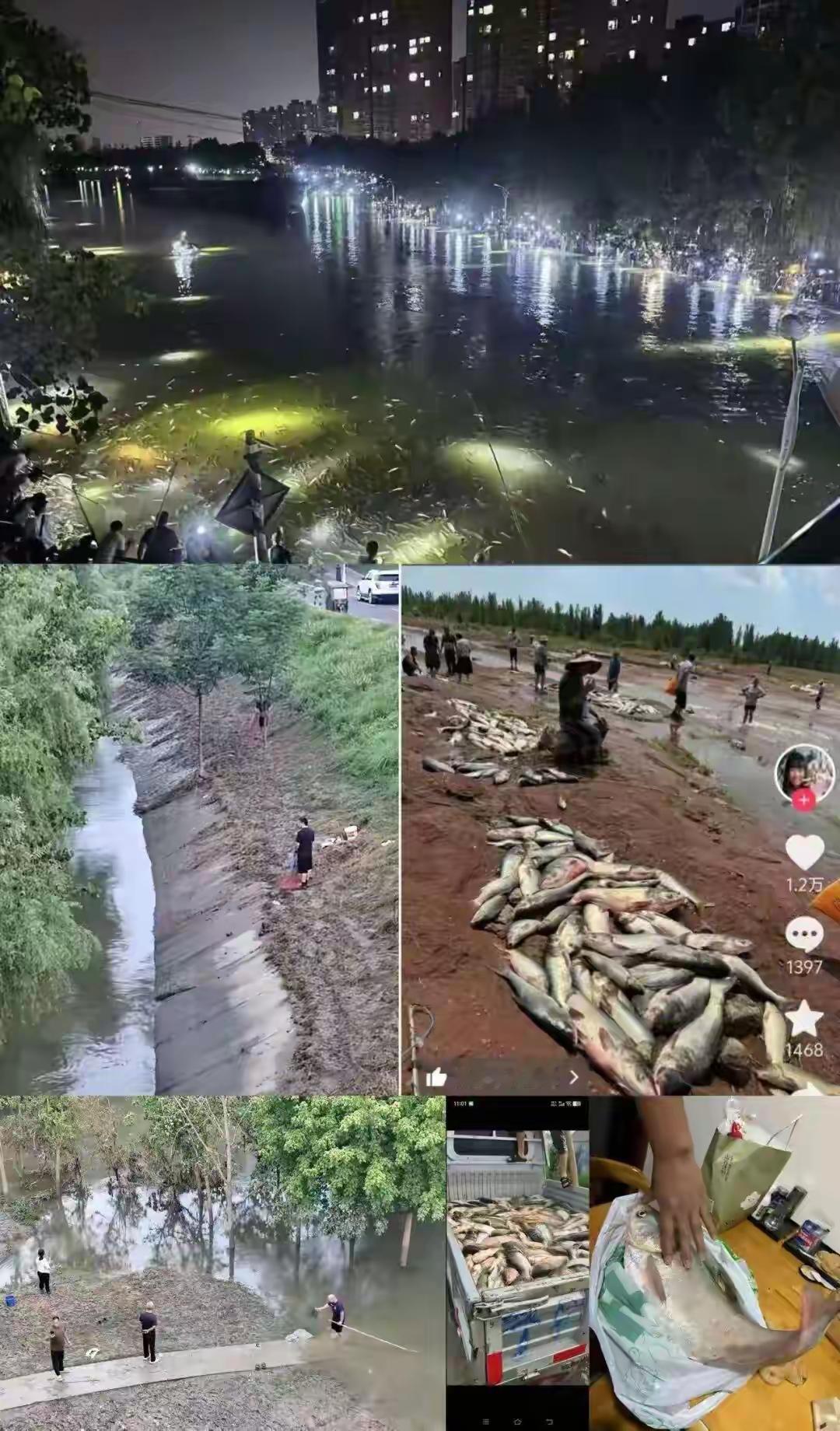 周口沙颍河现密集鱼群引市民争抢捕捞 官方紧急预警：含污染物严禁食用、切勿下河
 