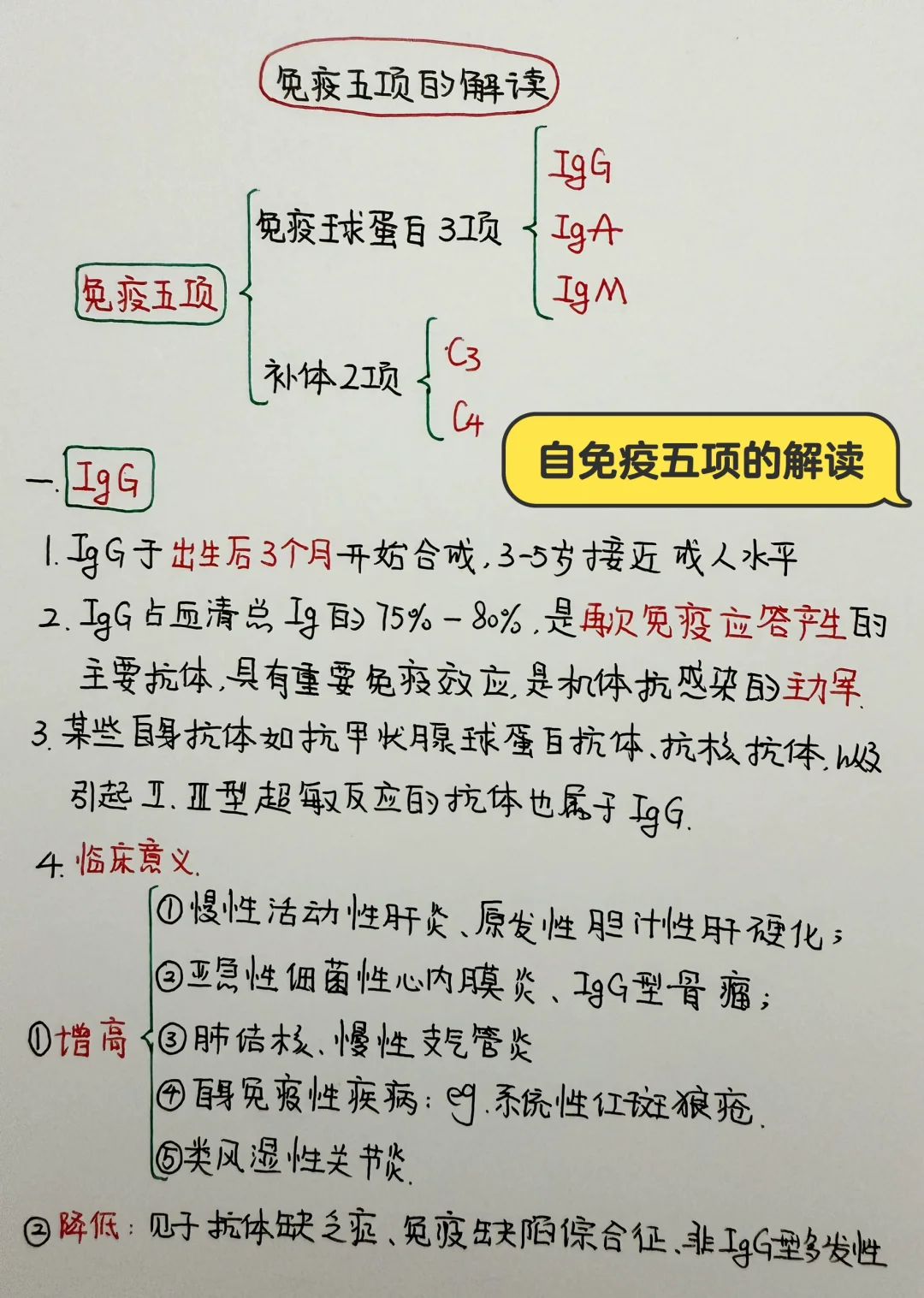 今日学习打卡——免疫五项的解读