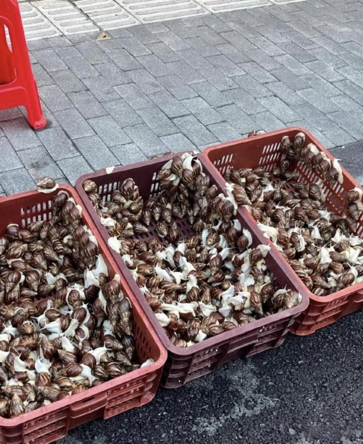 这是哪里的特色