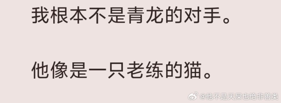 猫塑一个小龙宝 