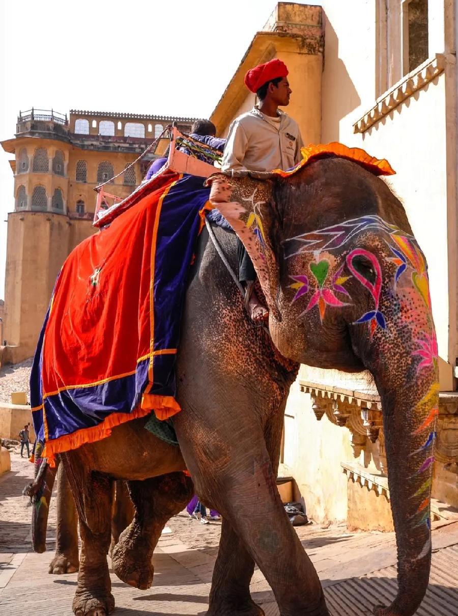 人家印度怎么了？2025年福布斯世界十大强国排名出炉，却没有印度，印度人急了，排