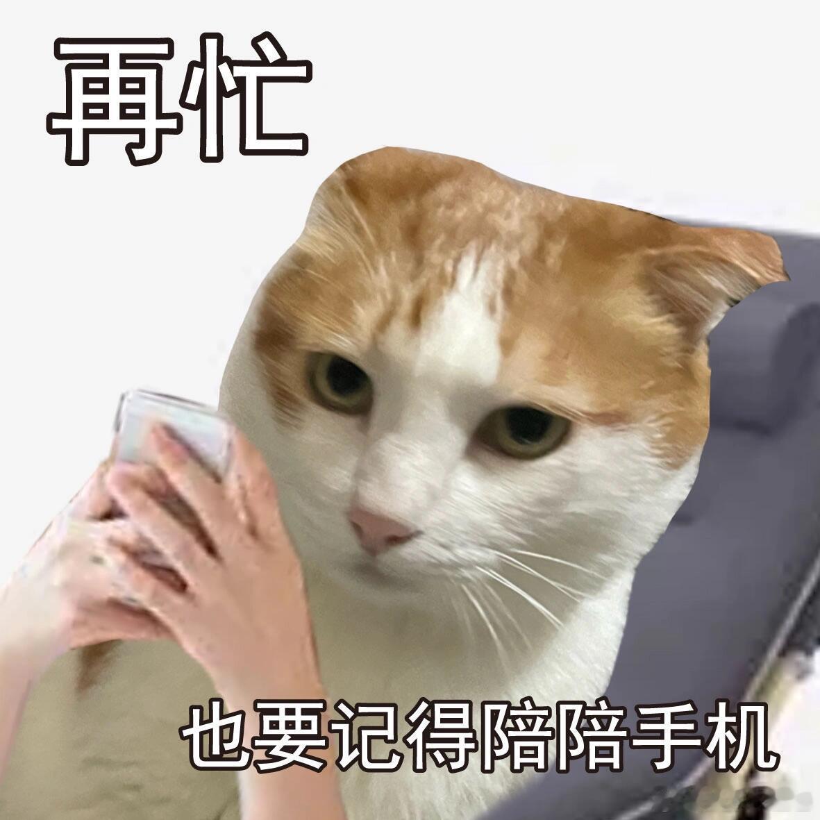 简历上的兴趣爱好不就是玩手机吗喜剧之王单口季 舞台上的这段段子完美还原当代人的生