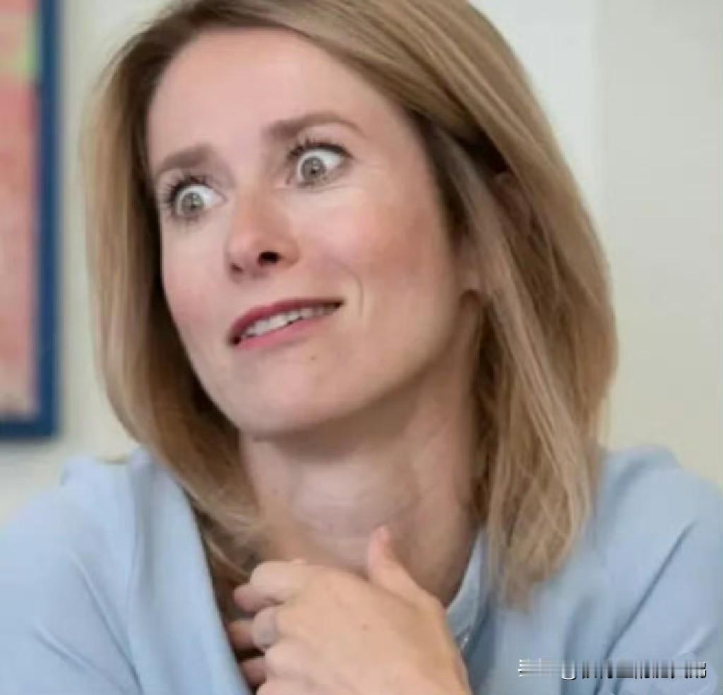 又是这个卡娅·卡拉斯！ 欧盟歪长卡拉斯仍在篡改二战历史。想必大家都还记得，不久前