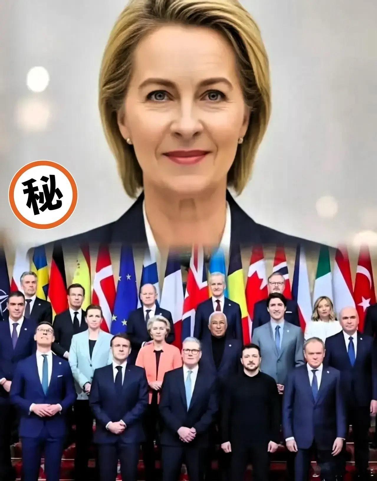 就在刚刚欧盟多国领导人宣布了2025年10月25日，欧洲多国领导人和北约负责人在