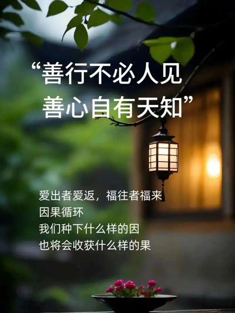日行一善日行一善     以温柔拥抱世界，世界必回以芬芳。善良不是选择，是本能。