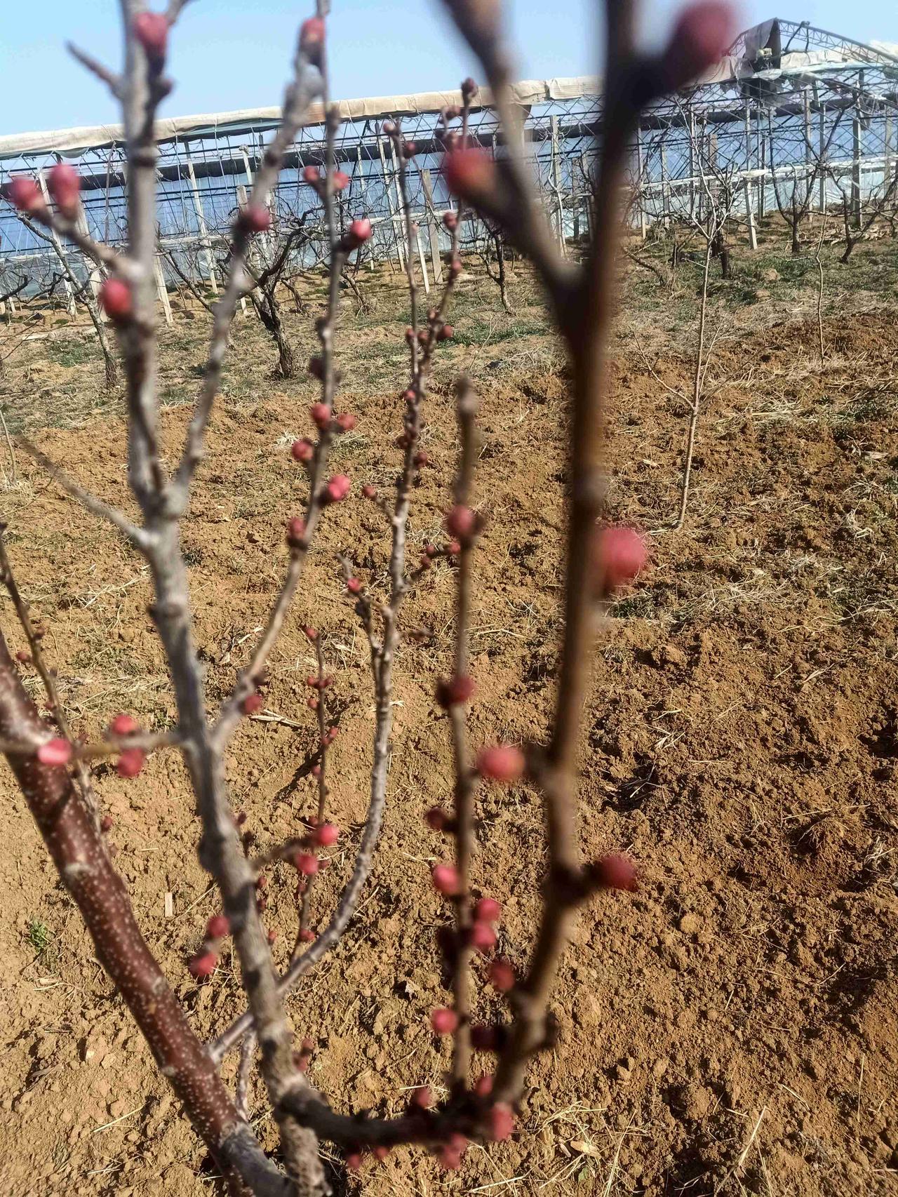 我的今日状态：🏝️旅行度假
我这里的天气：🍂微风
