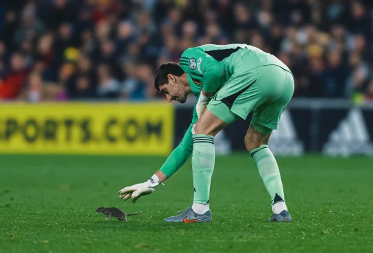 老鼠面对库尔图瓦的一次精彩突破