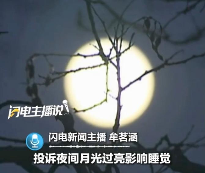 刷到这条新闻时，我整个人都不好了。居然有人大晚上拨打12345，投诉“月亮太亮了