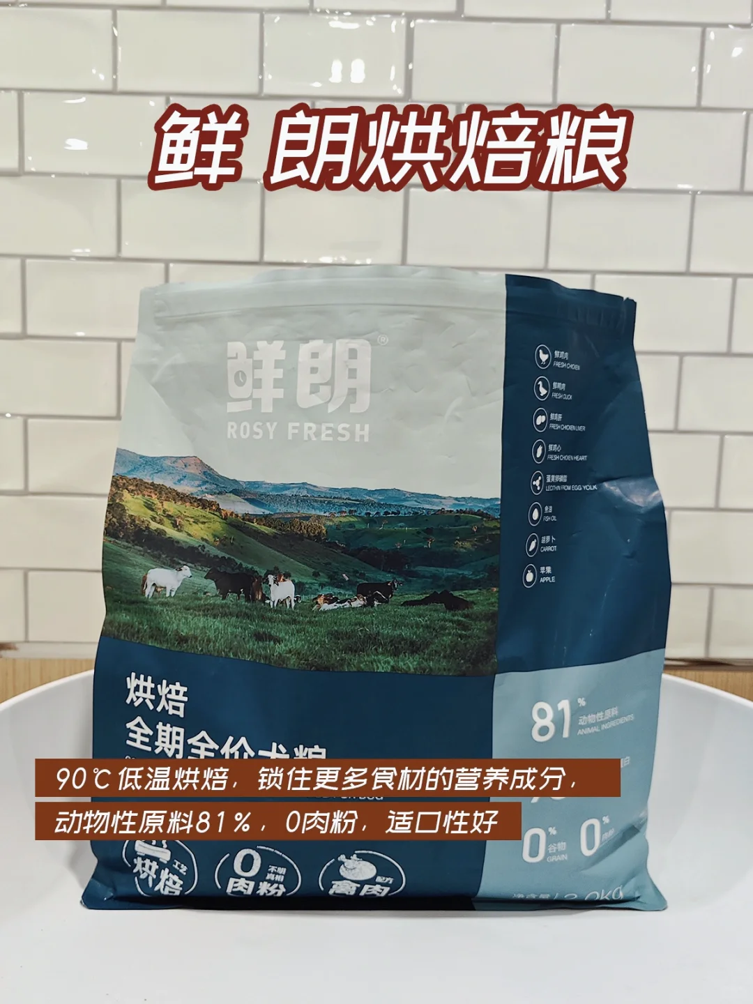 美毛清火狗粮哪家强❓毛发靓丽还得是它