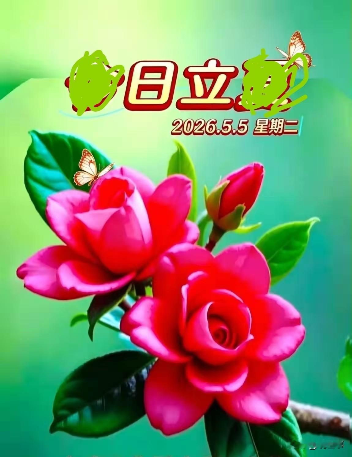 立夏火山抖音