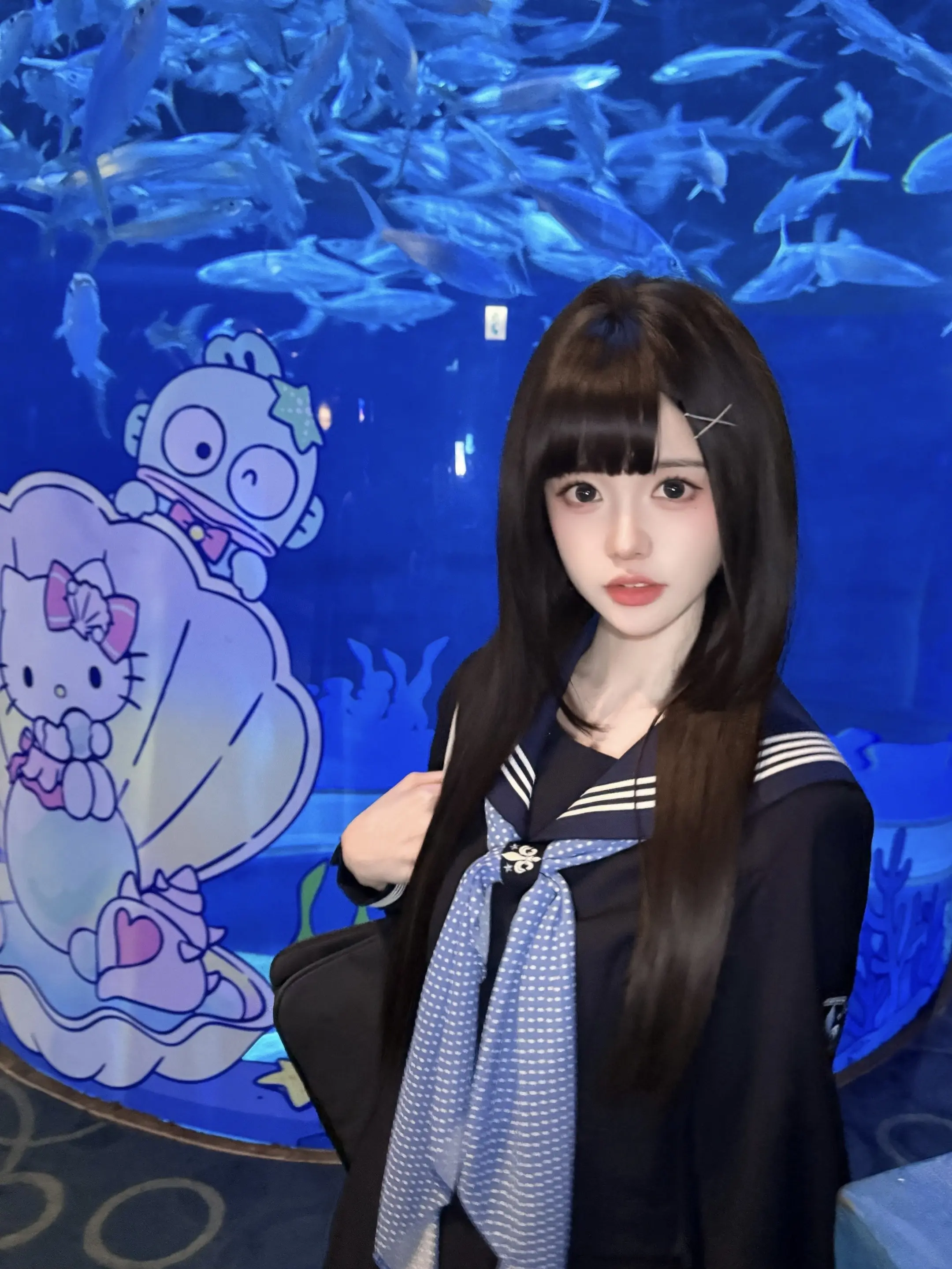 𓇼 ˖° 三丽鸥の海洋公园 .. .