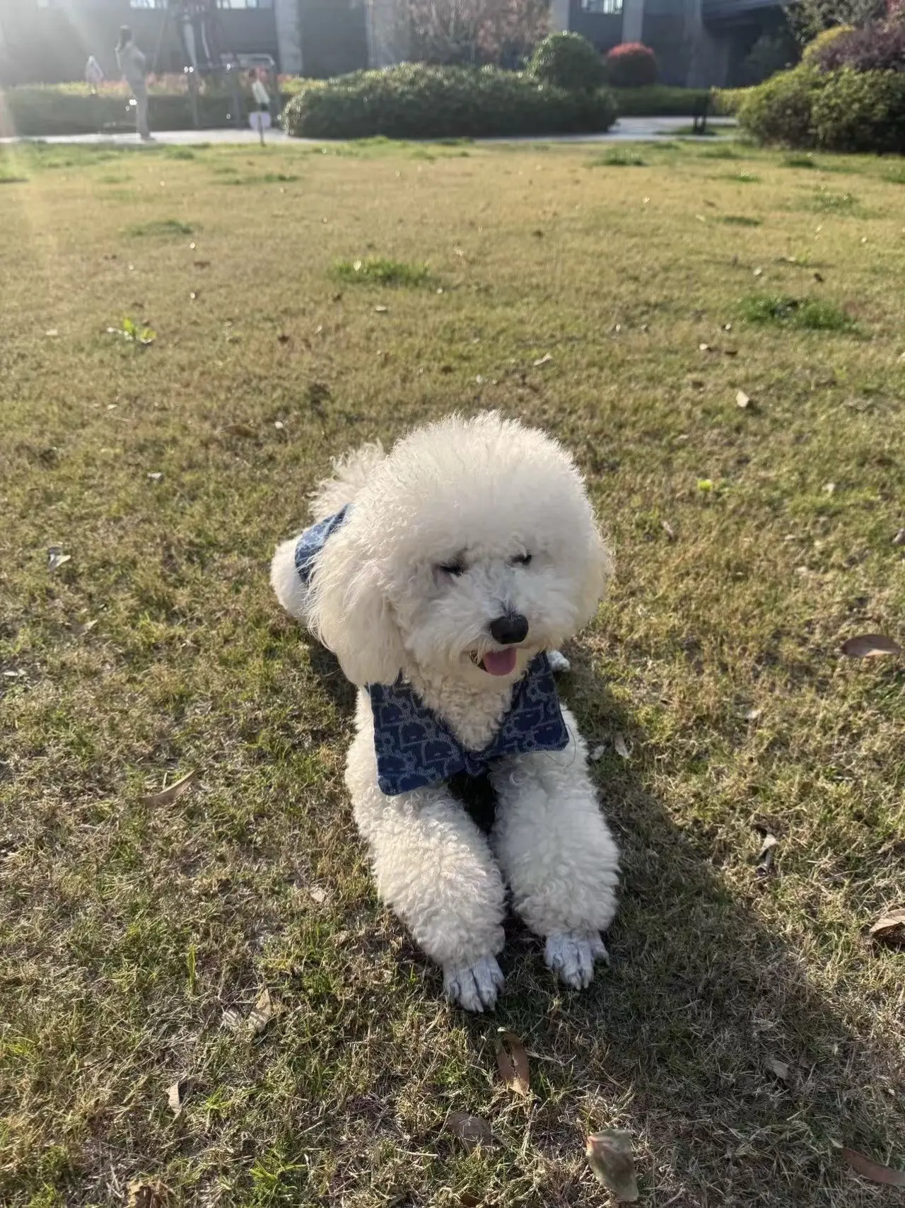 我许愿 美好常驻我身边