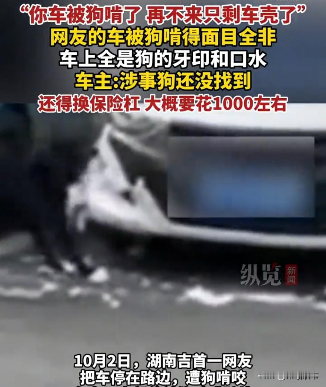 湖南吉首，一女子听电话后嗤笑：“呵，骗人都没好借口。”谁知，等脚步匆匆赶到地方，