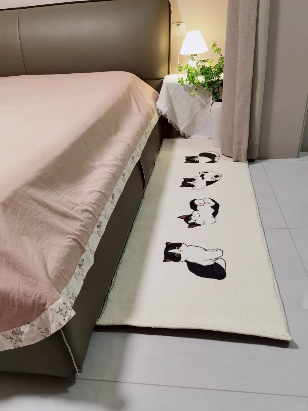 四只小猫咪陪我入睡🐈
