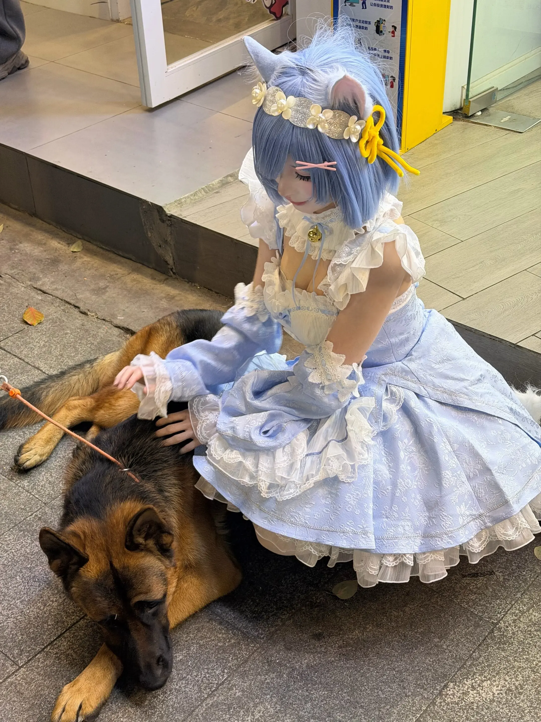 摸摸我这只小猫吗。