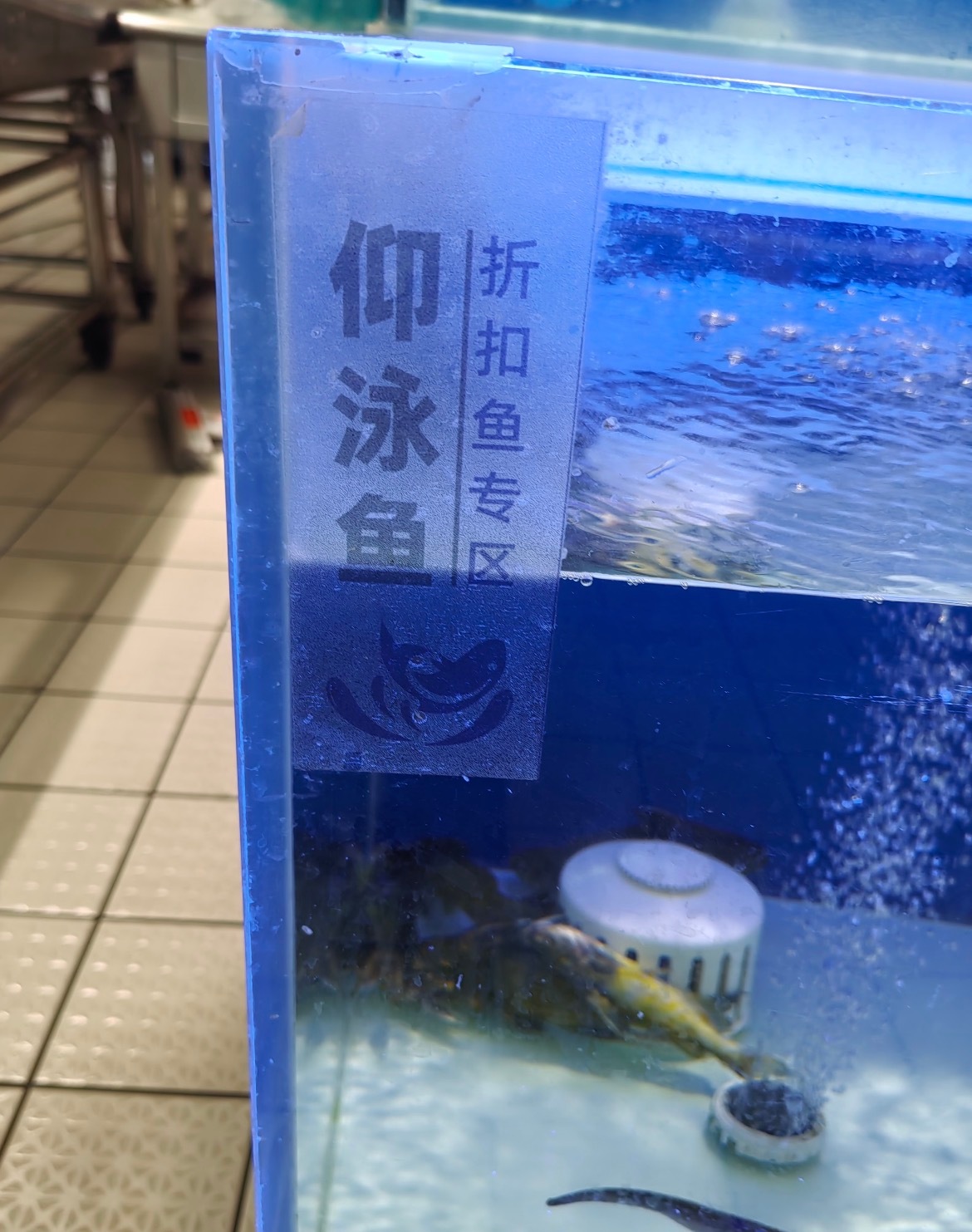 在超市我们不说鱼生早亡我们说：仰泳鱼搞笑幽默我的幽默灵感片场