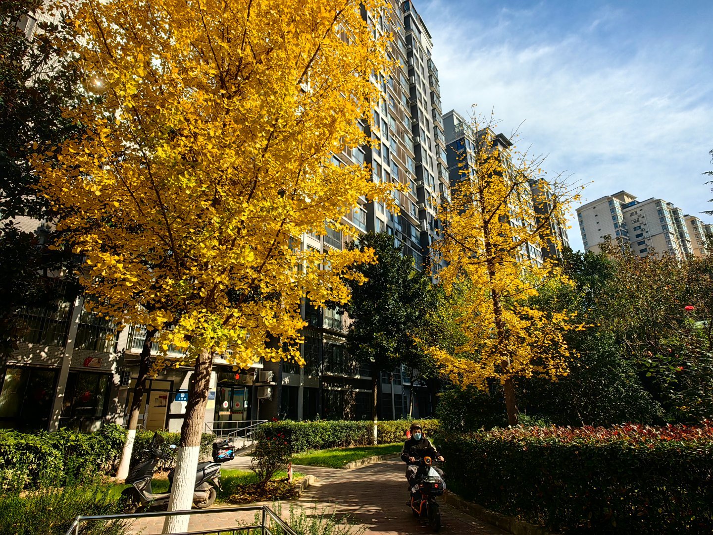 秋尽冬临，万物萧疏。生命于四季间轮回，岁月在更迭中沉淀。变化乃是永恒，是世间的常