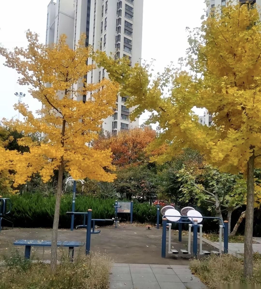 最近听说楼上的张大爷都七十多了还不去医院。他说体检指标高高低低不重要，人总要老的