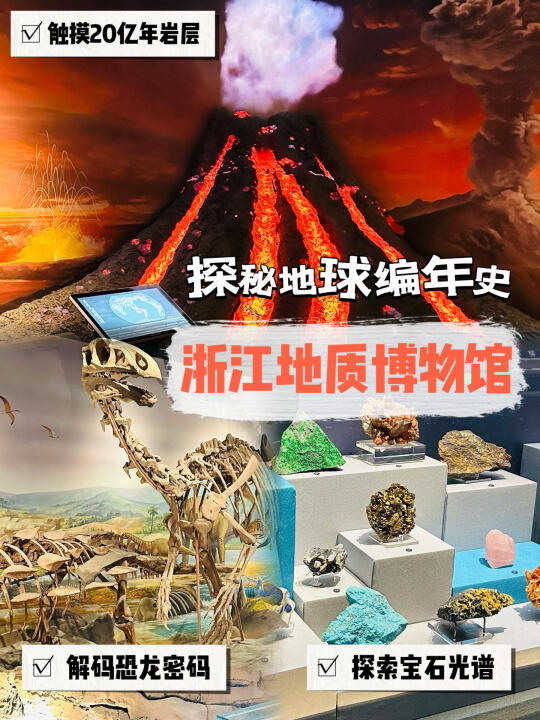 🔍浙江地质博物馆💎探秘20亿年时光🔥
