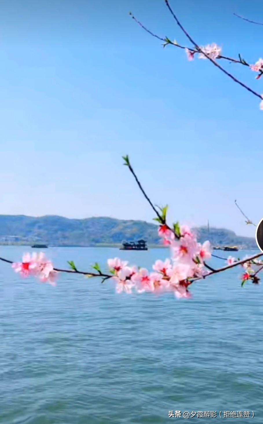 阳春三月，到处都是春光明媚，举起手机随手一拍都是美景，快趁春光踏春去