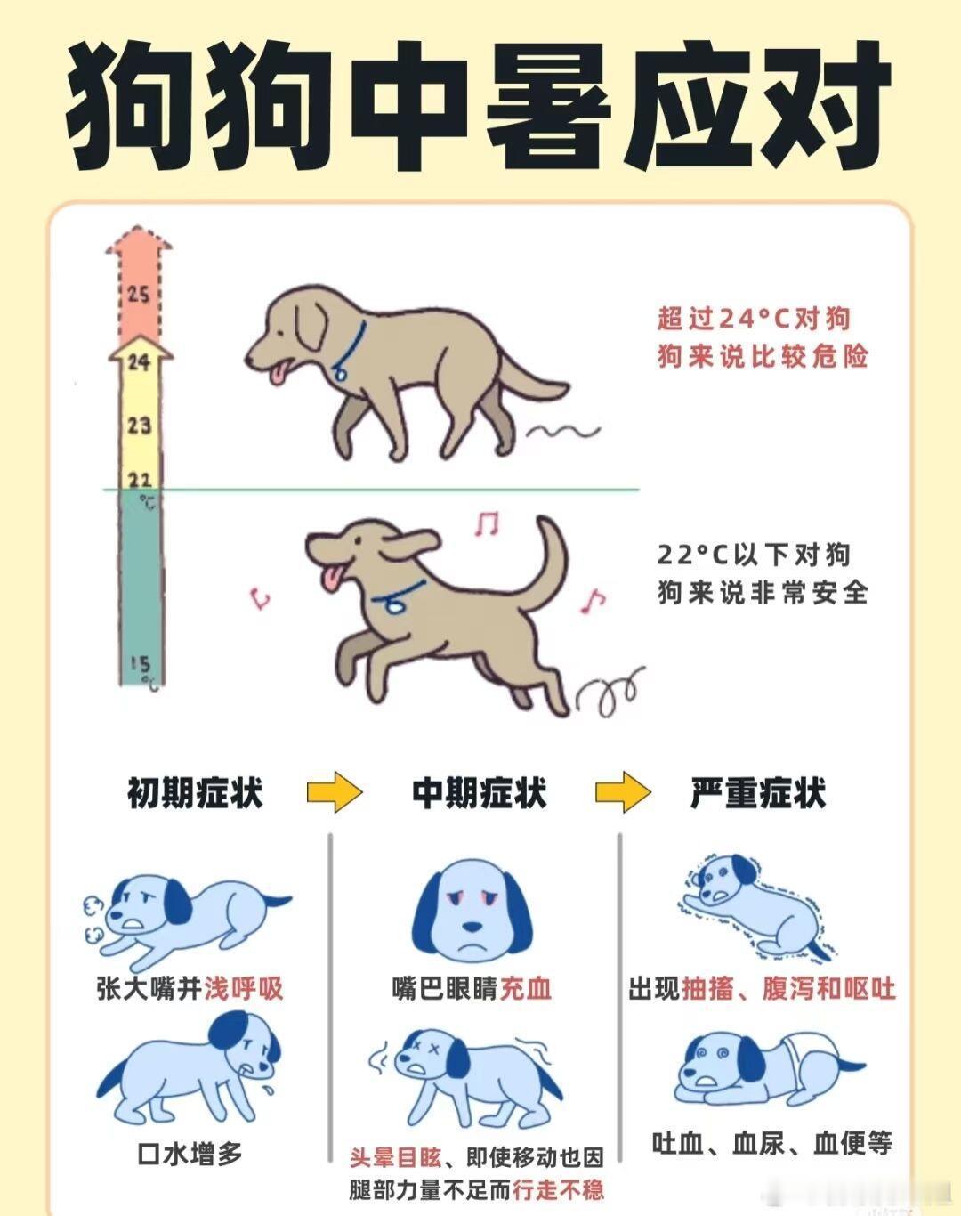 夏季狗狗中暑如何应对，夏季狗狗容易发生中暑情况，不及时处理可能会危及生命 奇妙生