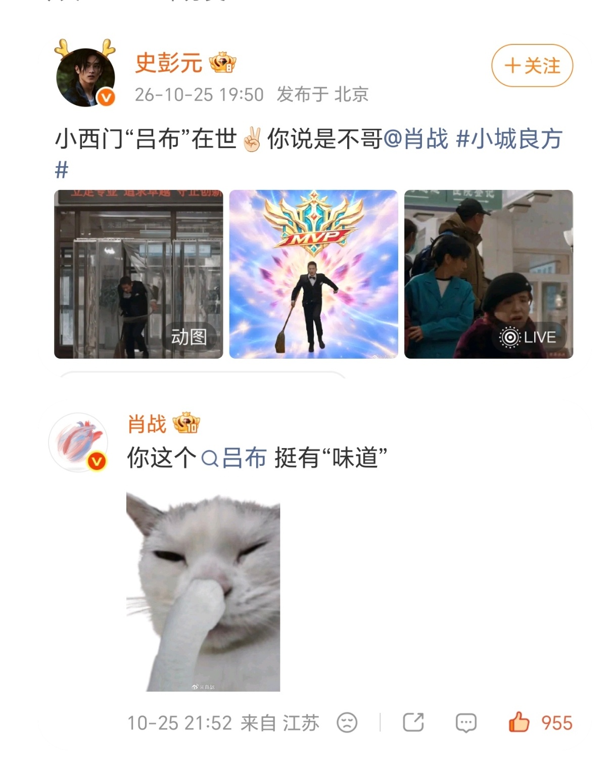 牌子猫嫌弃脸[偷乐]肖战小城良方限免 ​​​