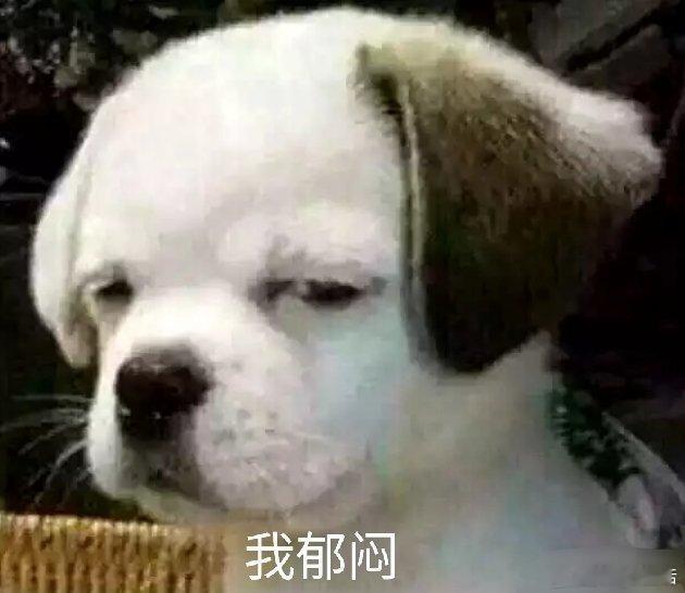 人生感悟 别让人误以为你的付出是理所当然，若把善良变成习惯，把主动付出当成无所谓