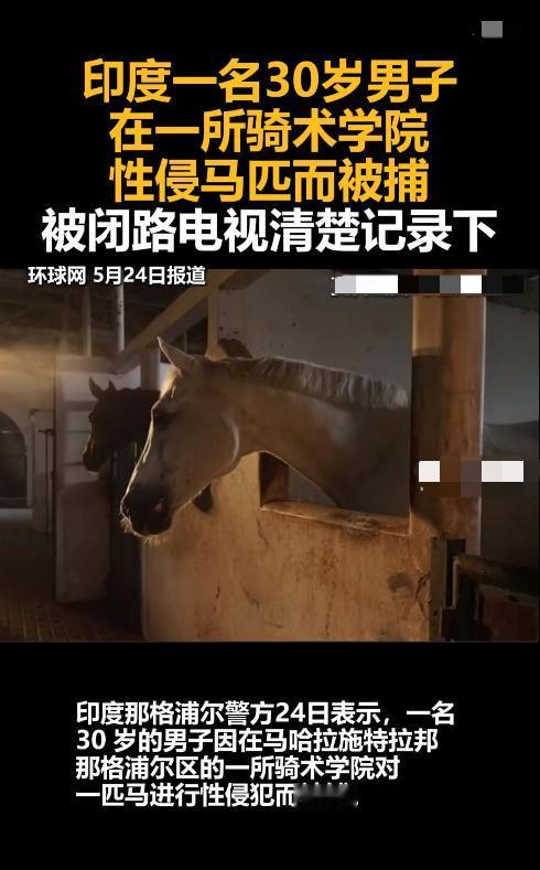 一觉醒来，又一名30岁的印度男子性侵马匹被捕了。印度警方透露，在一所马术学校该男