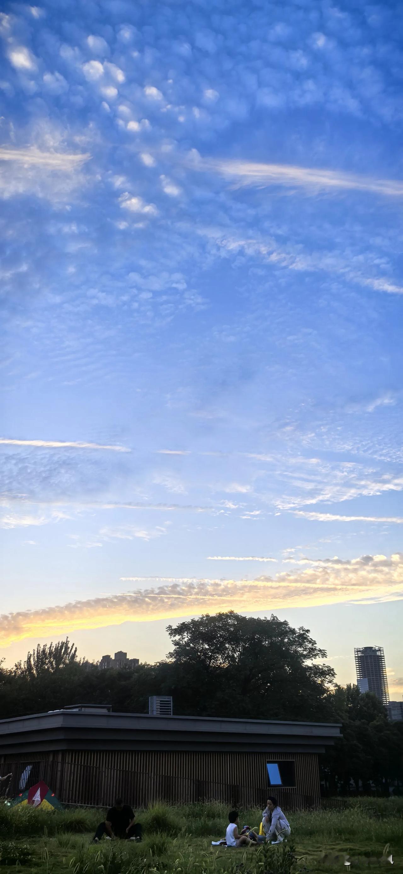 傍晚的风裹着青草的香气漫过大明宫的旷野，夕阳把最后一缕金辉铺在千年遗址的台基上，